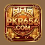 Golden casino-style app icon featuring PKR656.COM text with slot machine reels and stacked coins in a shiny red and gold theme.